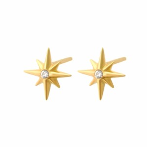 گوشواره طلا طرح ستاره شمالی کد FE110