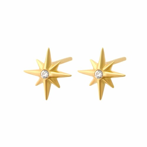 گوشواره طلا طرح ستاره شمالی کد FE110